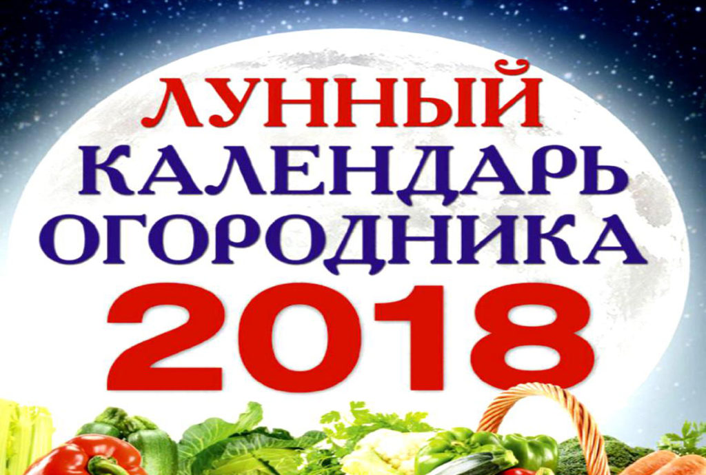 Лунный календарь на 2019 год, садовода и огородника для Сибири