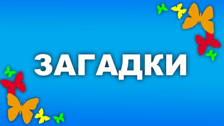 Смешные загадки (100 штук)