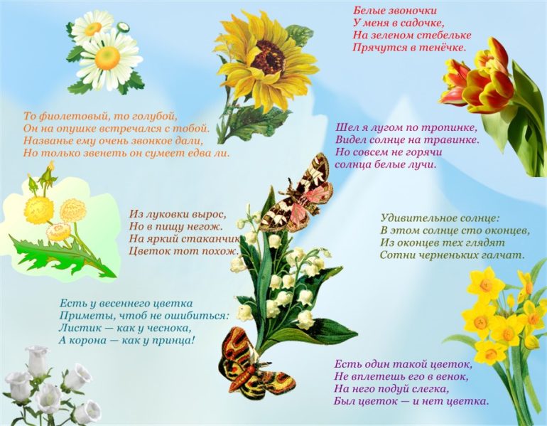 Загадки про цветы (40 штук)