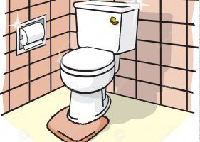 ТОП-8 загадок про туалет, унитаз и туалетную бумагу