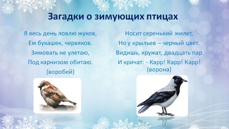 Загадки про зимующих птиц (40 штук)