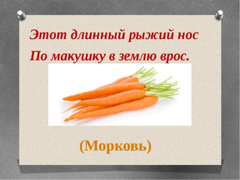 Загадки про морковку (40 штук)