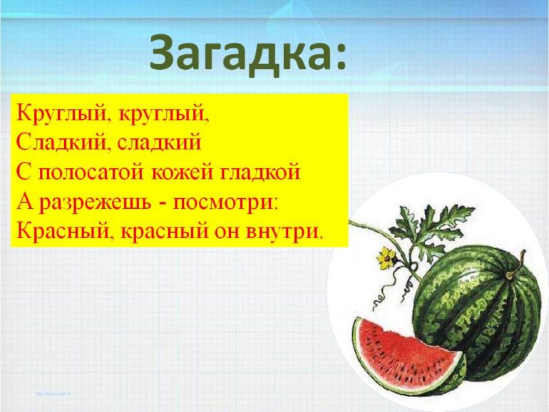 Загадки про арбуз (40 штук)