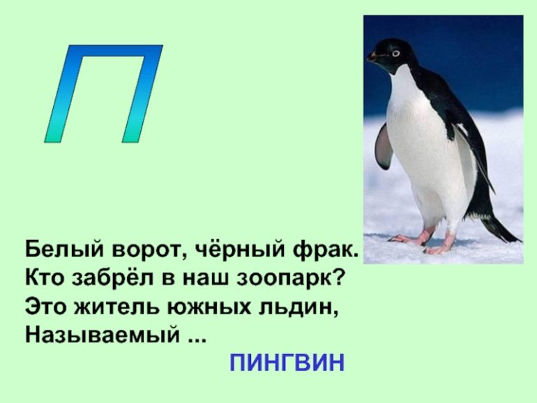 Загадки про пингвина (40 штук)