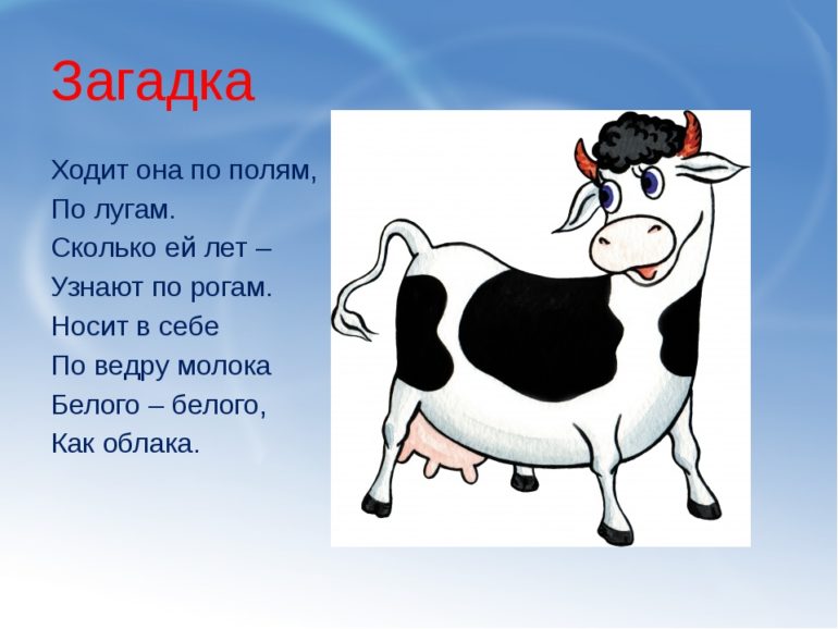Загадки про корову (40 штук)