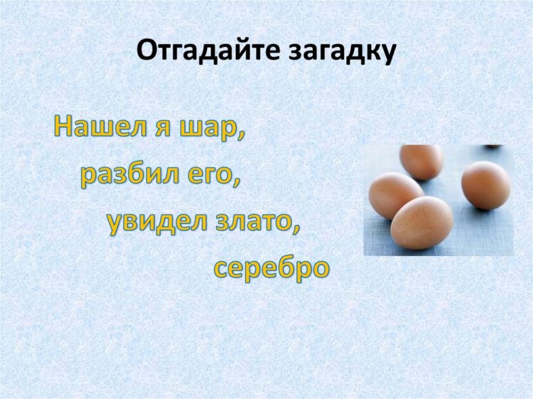 ТОП-43 загадки про куриное яйцо для детей