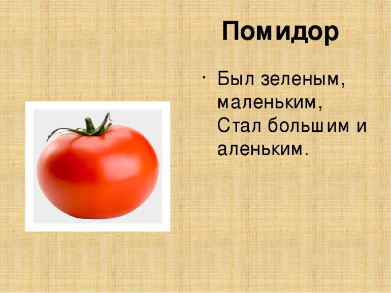 Загадки про помидор (36 штук)