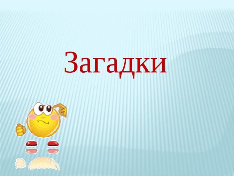 Загадки для старшей группы детского сада (40 штук)