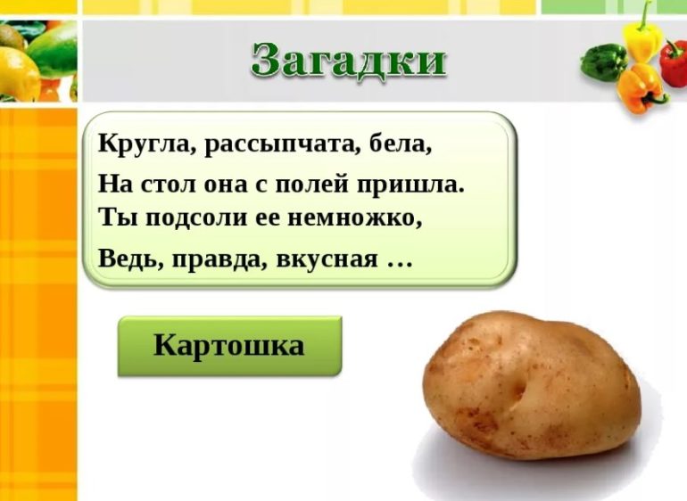 Загадки про картошку (40 штук)