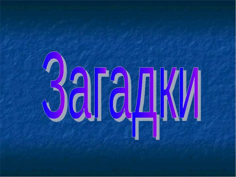 Загадки для 10 класса (11 штук)