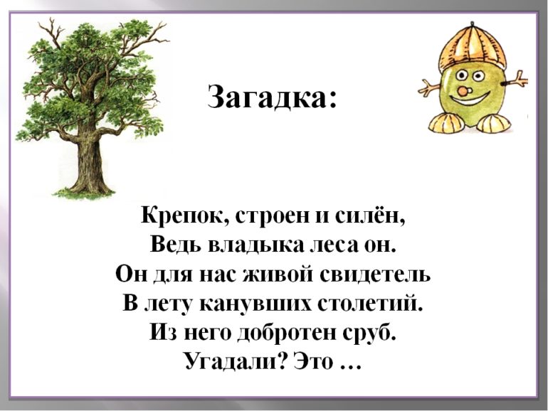 Загадки про дуб (18 штук)