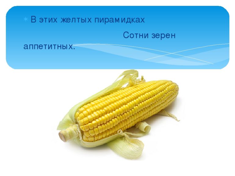Загадки про кукурузу для детей (23 штуки)