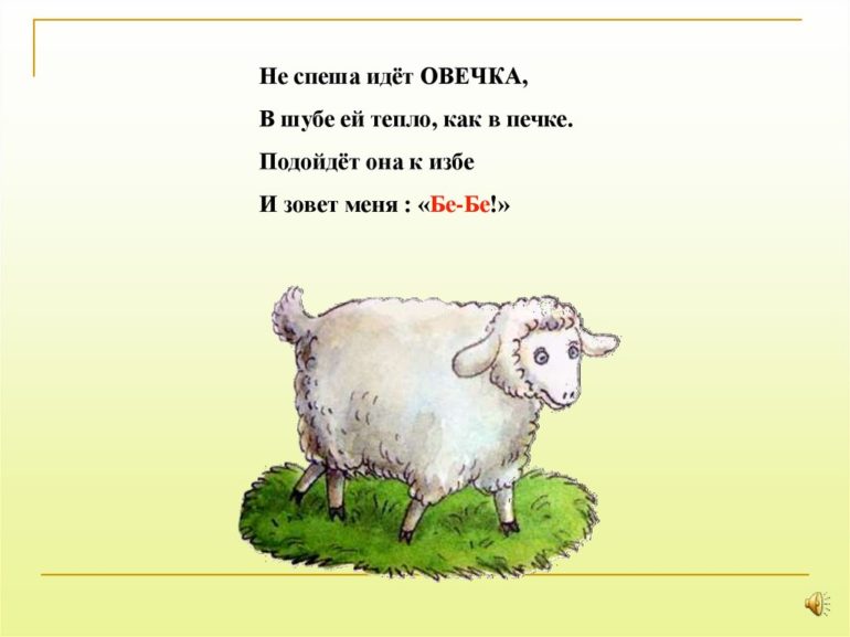 ТОП-60 загадок про овцу, ягненка, барана для детей с ответами
